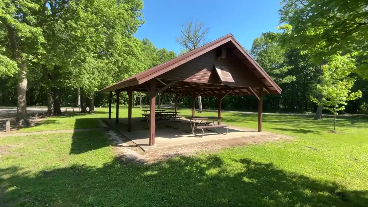 Open-sided picnic shelter with tables in a grassy clearing at Heery Woods State Park