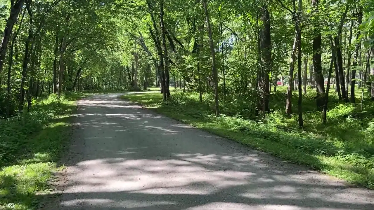 Paved path through tall shade trees at Heery Woods State Park